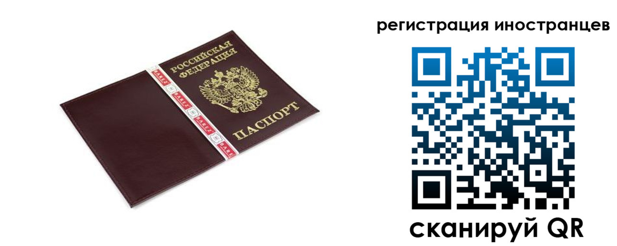 прописка иностранных граждан в Гвардейске